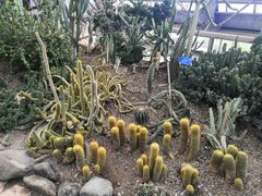 -南山植物园