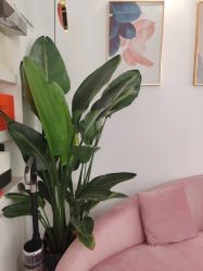 -奥丽维娅美容养生会所