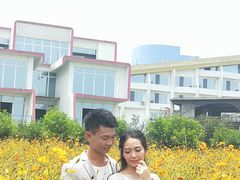 -百万葵园