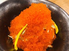 赤炙火山沙拉-赤稻·日式料理(禅城店)