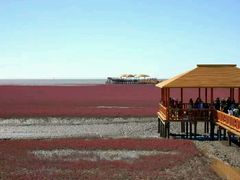 -红海滩国家风景廊道