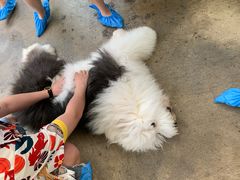 -TrueLove @ Neverland (Husky Cafe)