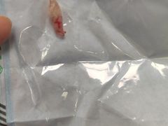 -极橙儿童齿科矫正中心(奥城店)