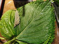-新石器烤肉(中房金谊广场店)
