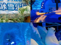 -海合安成都极地海洋公园