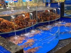 水产区-海景壹号大酒店(惠钱路店)