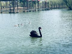 -长兴太湖图影湿地文化园