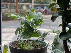 -Maxpoint Kitchen 西餐咖啡(乐峰广场店)
