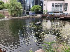 -苏州河梦清园环保主题公园