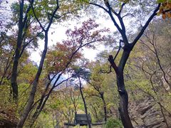 -北京上方山国家森林公园