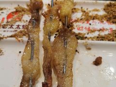 -邢氏老太太烤串(北兴街店)