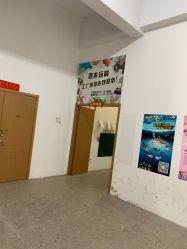 -逝水玩具折扣店