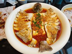 -三强鸽子(中原路店)