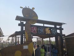 -上海长兴岛郊野公园