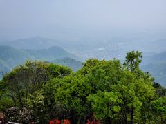 -莫干山风景区