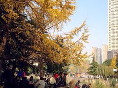 -成都市活水公园