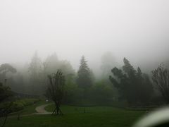 -洪霞餐馆