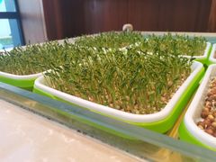 -大渔小鲜火锅店