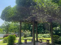 -东莞植物园