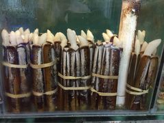 蚝-蚝专家(北滘店)