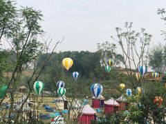 -黄龙溪欢乐田园