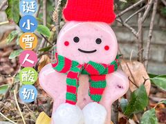 -白色日记·手作酸奶(麦凯乐店)