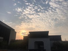 -上海崇明金茂凯悦酒店