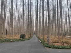 -上海怡沁园度假酒店