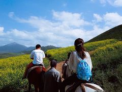 -扁都口生态休闲旅游区