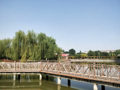 -张店儿童公园