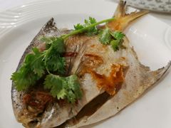 -黄埔华苑酒家(黄埔总店)
