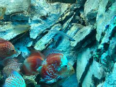 -多彩贵州城极地海洋世界