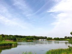 -马家湾湿地公园