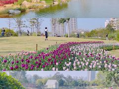 -香蜜公园
