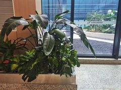 -杭州萧山国际机场