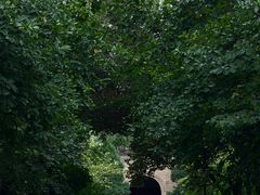 -木塔寺遗址生态公园