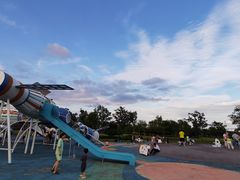 -九龙湖公园