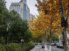 -天鹅湖体育公园