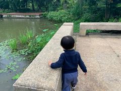 -福建鲤鱼洲酒店