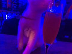 -星宿秘码(鼓浪屿老店)