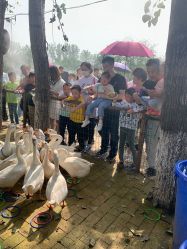-上美四季动物农场