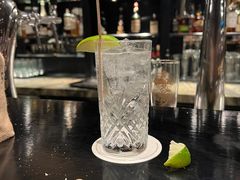 -Long Bar(莱佛士酒店)