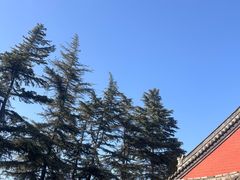 -洛阳白马寺