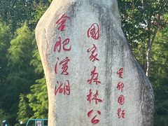 -合肥滨湖国家森林公园