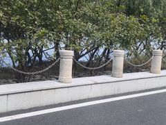 -芒洲湿地公园