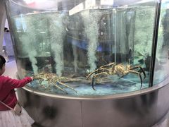 -海底捞大排档火锅(打浦路店)