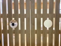 -柴犬小屋·柴餐厅·狗咖食堂(金鼎广场店)