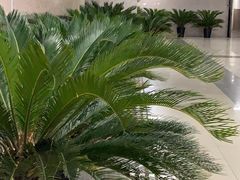 -星巴克(北京西站5号候车室)