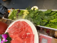 -南门四季铜锅涮肉(左家庄店)