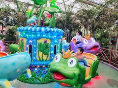 -南宫五洲植物乐园